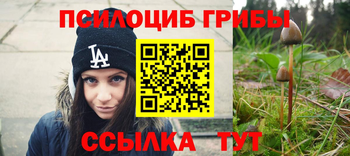 купить наркотики сайты  Псилоцибиновые грибы Cubensis  Вход с VPN  Рубцовск  Галлюциногенные грибы Psilocybine cubensis 